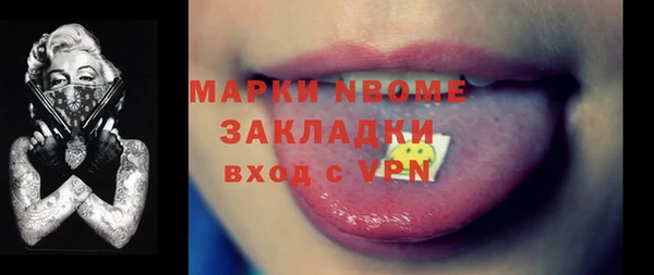 прущие грибы Михайлов