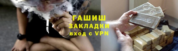 прущие грибы Михайлов