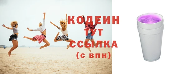 прущие грибы Михайлов