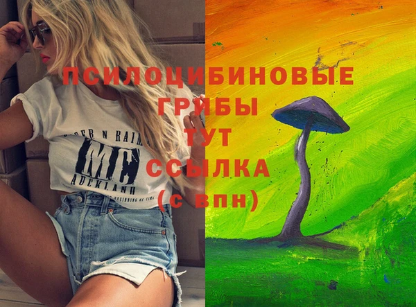 прущие грибы Михайлов