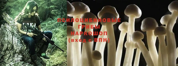 прущая мука Михайловск