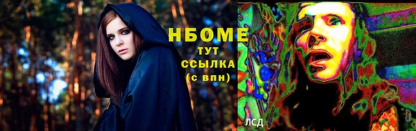 прущие грибы Михайлов