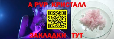спиды Донской