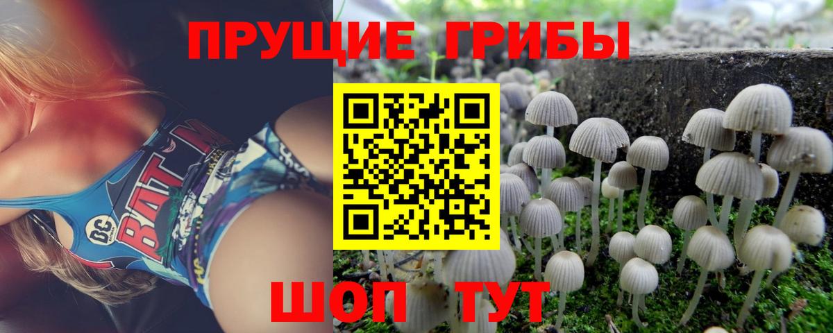 Псилоцибиновые грибы мицелий  Галлюциногенные грибы Psilocybine cubensis  Вход с VPN  Кимры 